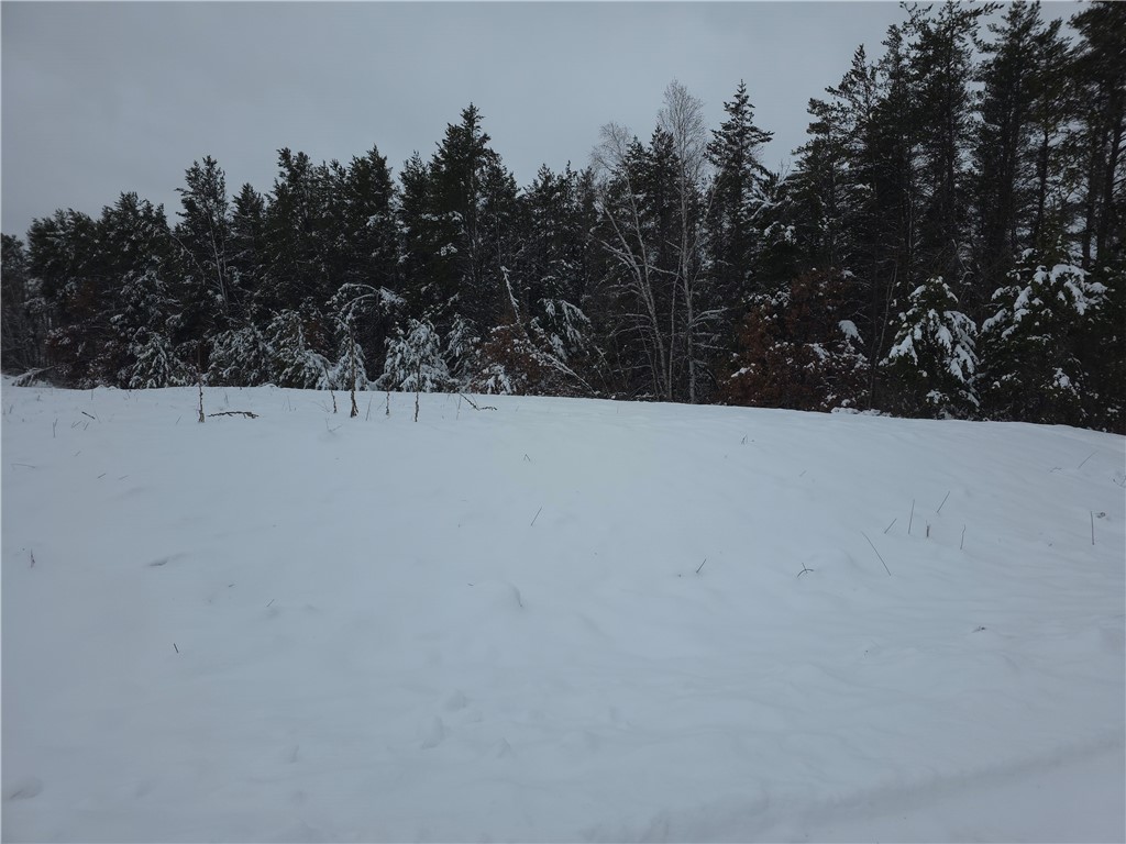 0 Liesch Rd Trego WI 54888 1597464 image17