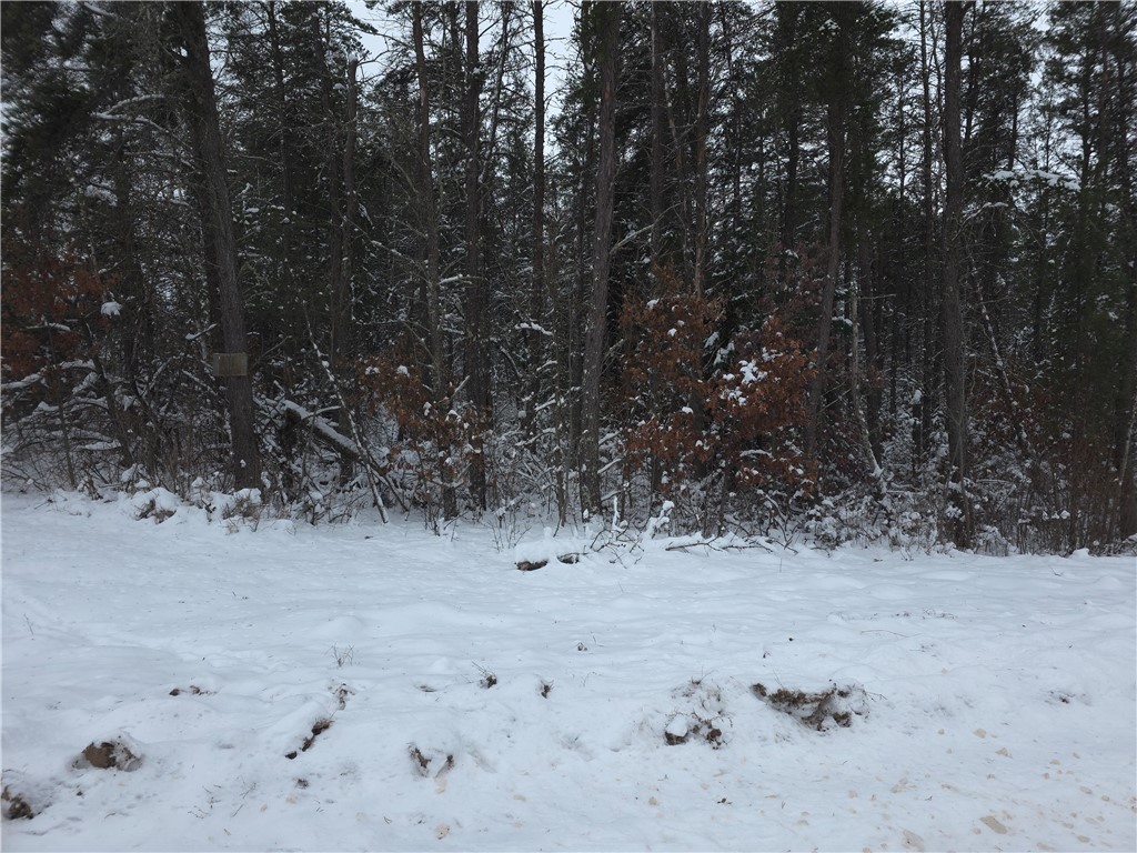 0 Liesch Rd Trego WI 54888 1597464 image19