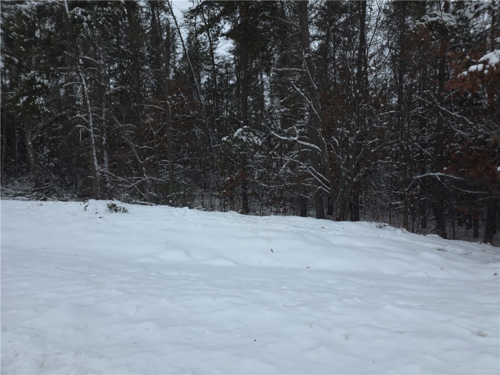 0 Liesch Rd Trego WI 54888 1597464 image26