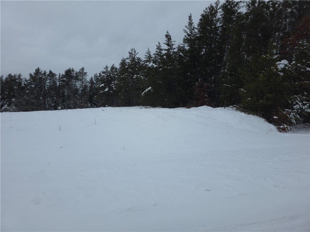 0 Liesch Rd Trego WI 54888 1597464 image6