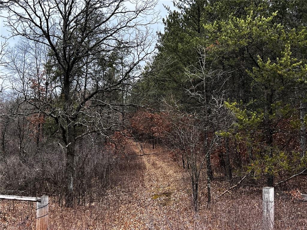 0 Lincoln Drive Fall Creek WI 54742 1579377 image1