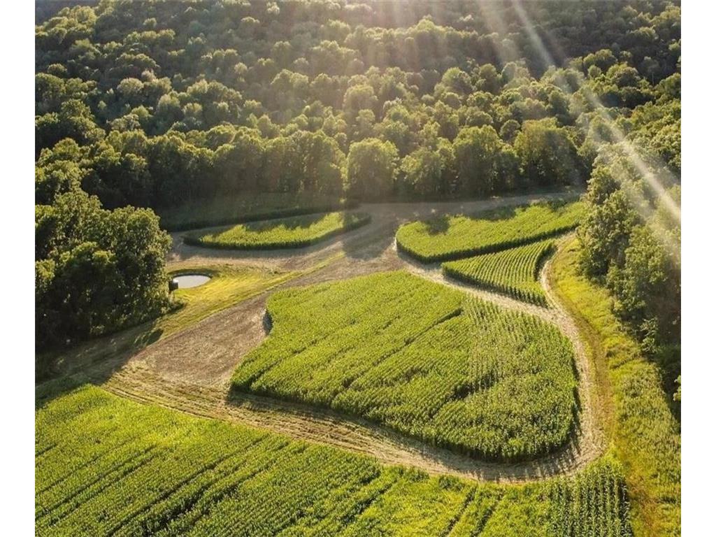 0 Lindstrom Road Nelson WI 54756 1578737 image1