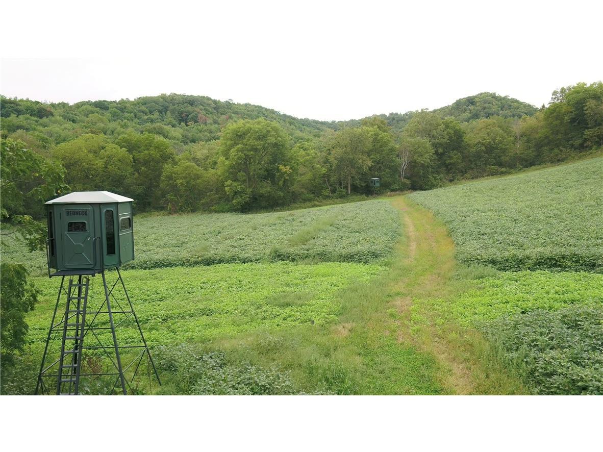 0 Lindstrom Road Nelson WI 54756 1589016 image1