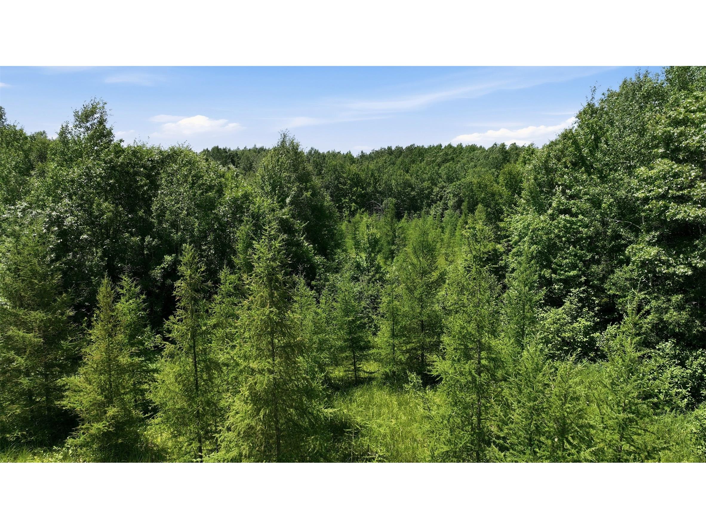 0 Little Bass Lake Road Spooner WI 54801 - 3616/Rocky Creek Lake 1602699 image18