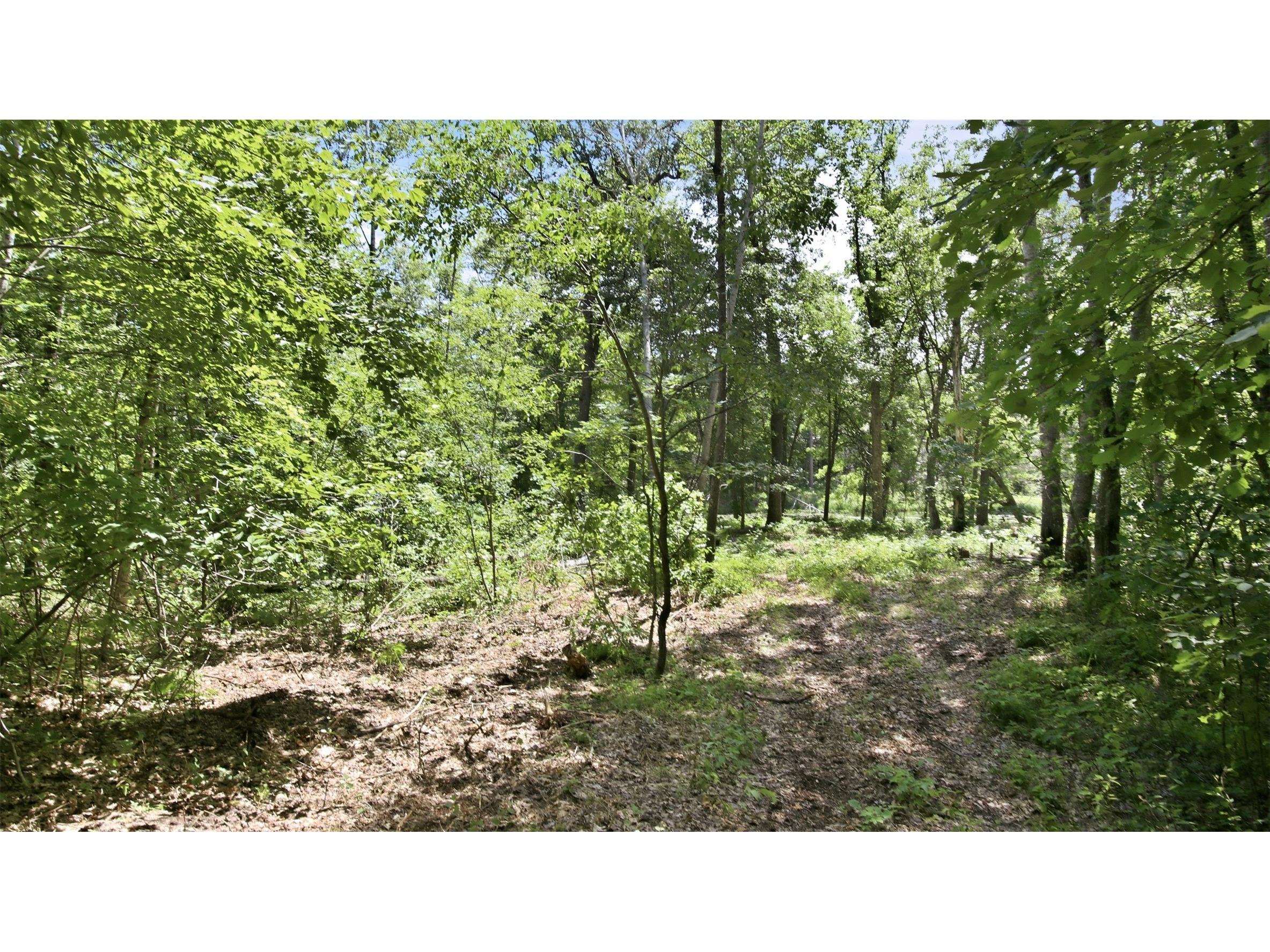 0 Little Bass Lake Road Spooner WI 54801 - 3616/Rocky Creek Lake 1602699 image31