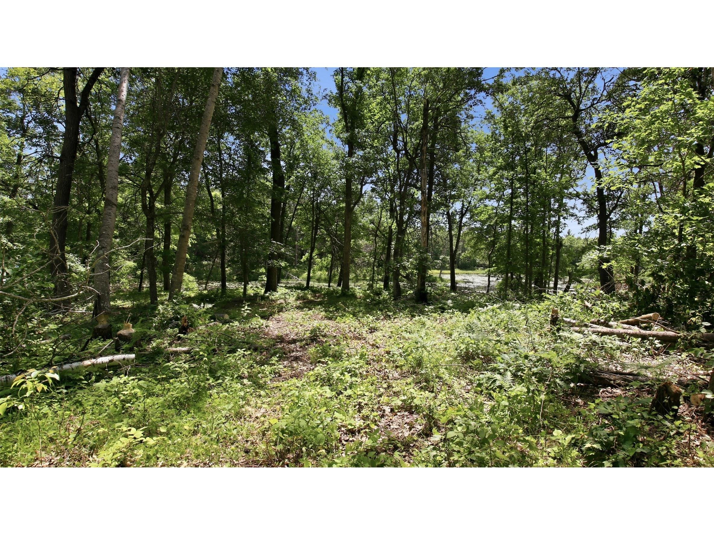 0 Little Bass Lake Road Spooner WI 54801 - 3616/Rocky Creek Lake 1602699 image32