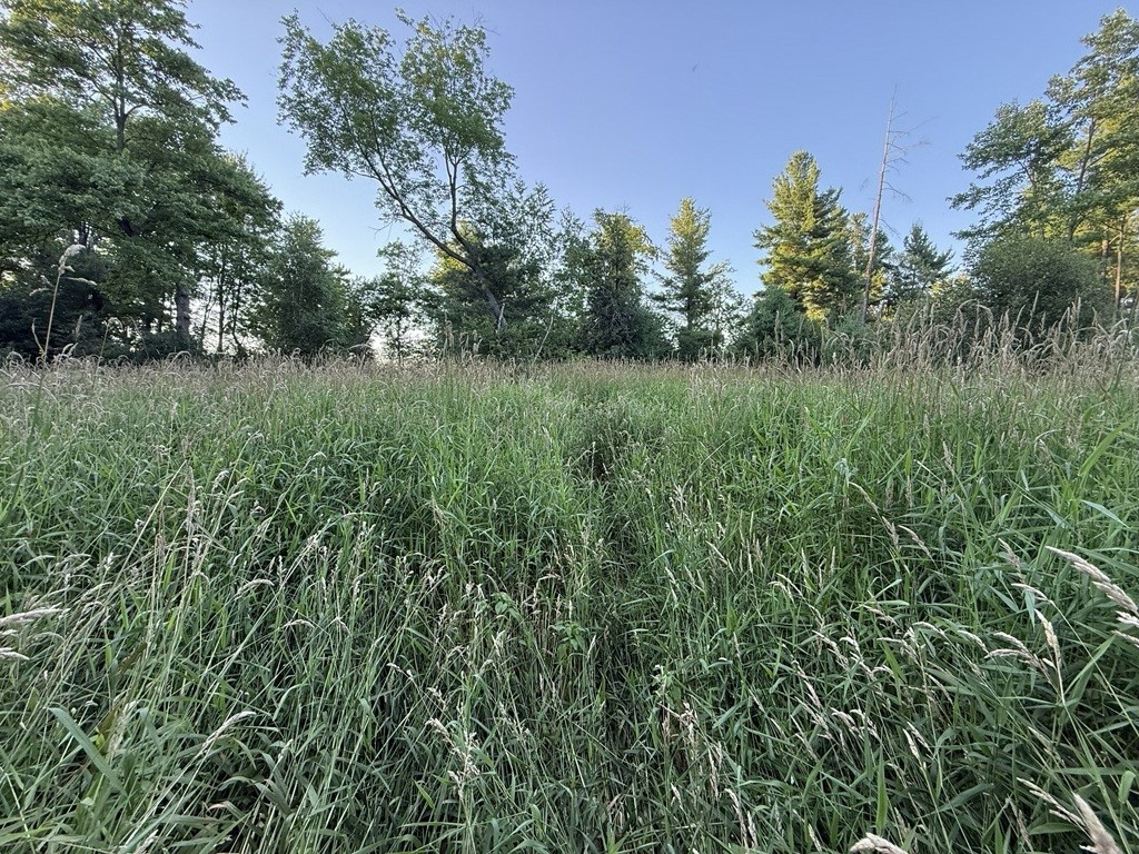 0 Little Sweden Road Osseo WI 54758 1603192 image13