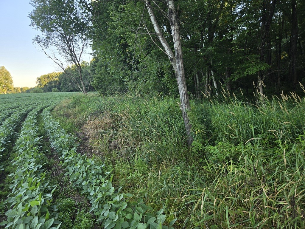 0 Little Sweden Road Osseo WI 54758 1603192 image19
