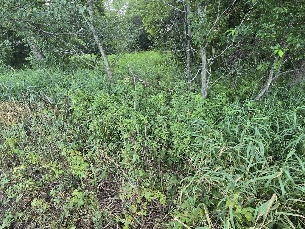 0 Little Sweden Road Osseo WI 54758 1603192 image21