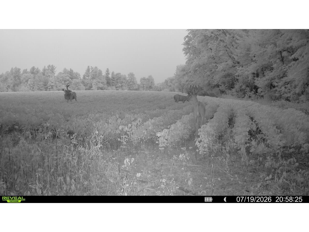 0 Little Sweden Road Osseo WI 54758 1603192 image6