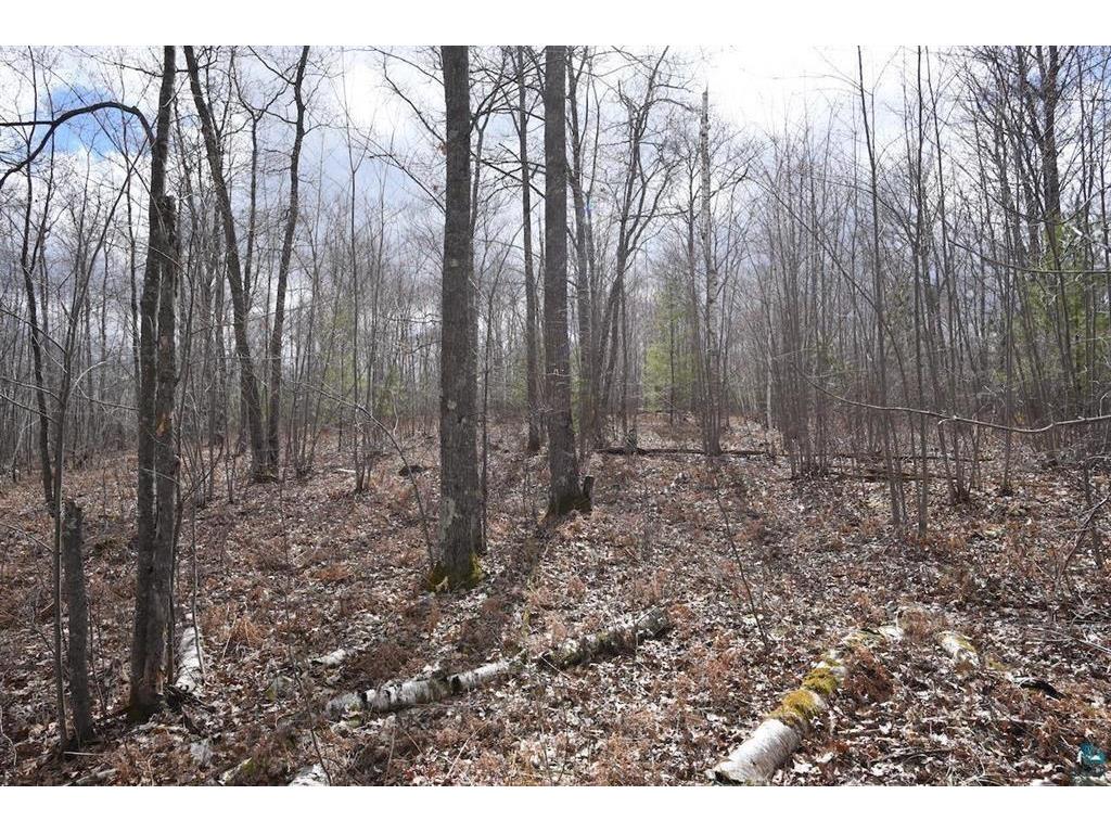 0 Long Lake Road Iron River WI 54847 1584457 image1