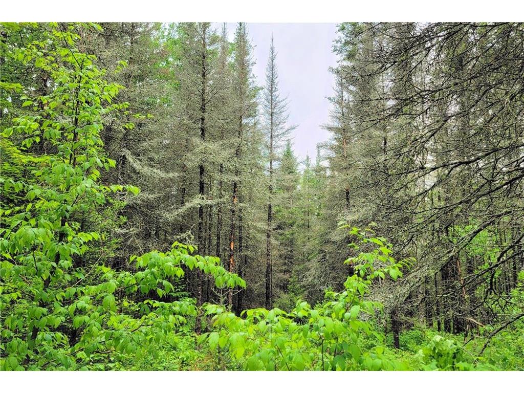 0 Longview Road Drummond WI 54832 1583111 image1