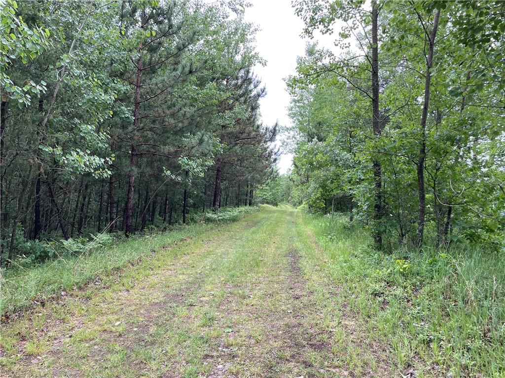 0 Loon Lake Road Spooner WI 54801 - Sunfish 1592683 image15