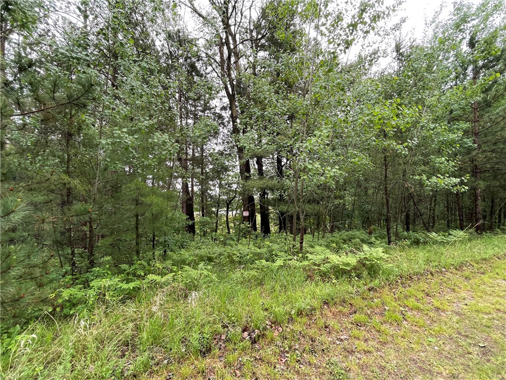 0 Loon Lake Road Spooner WI 54801 - Sunfish 1592683 image16