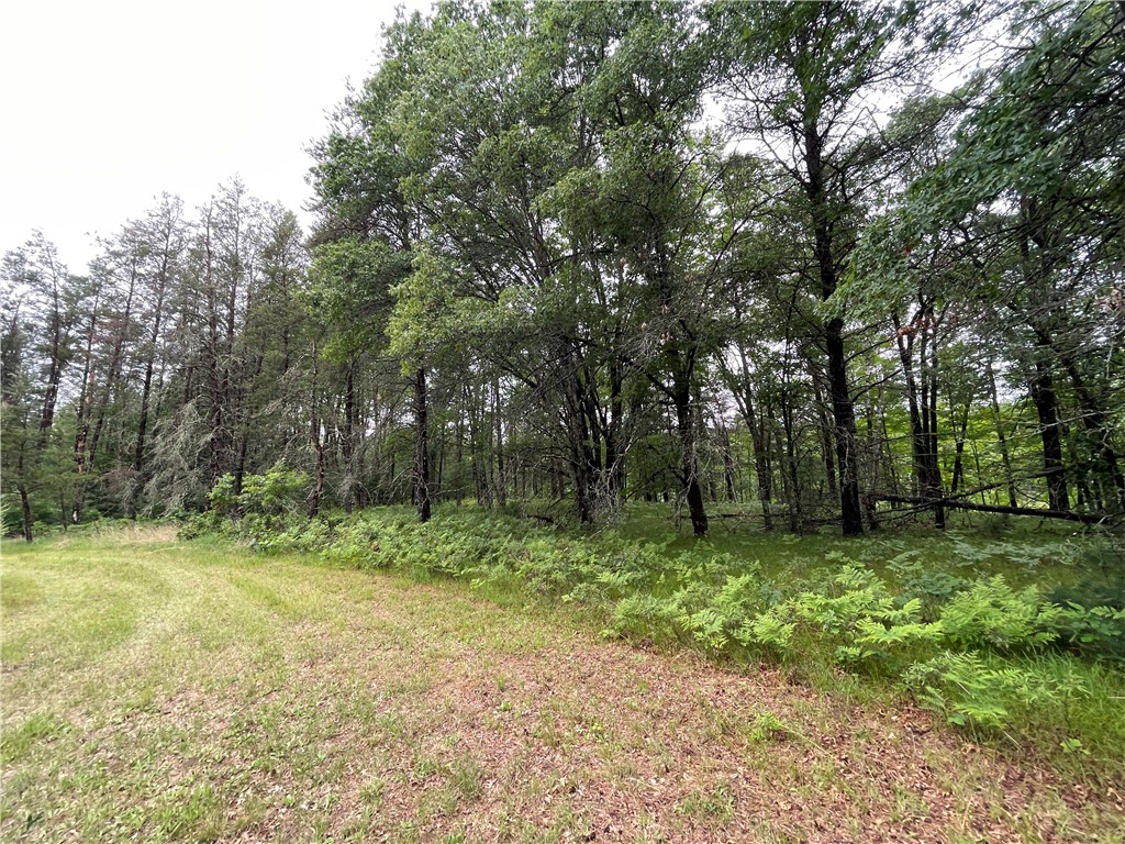 0 Loon Lake Road Spooner WI 54801 - Sunfish 1592683 image19