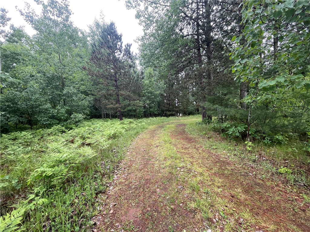 0 Loon Lake Road Spooner WI 54801 - Sunfish 1592683 image2