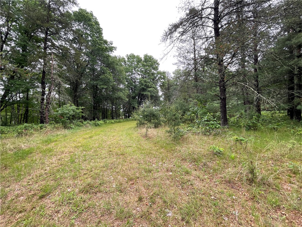 0 Loon Lake Road Spooner WI 54801 - Sunfish 1592683 image22