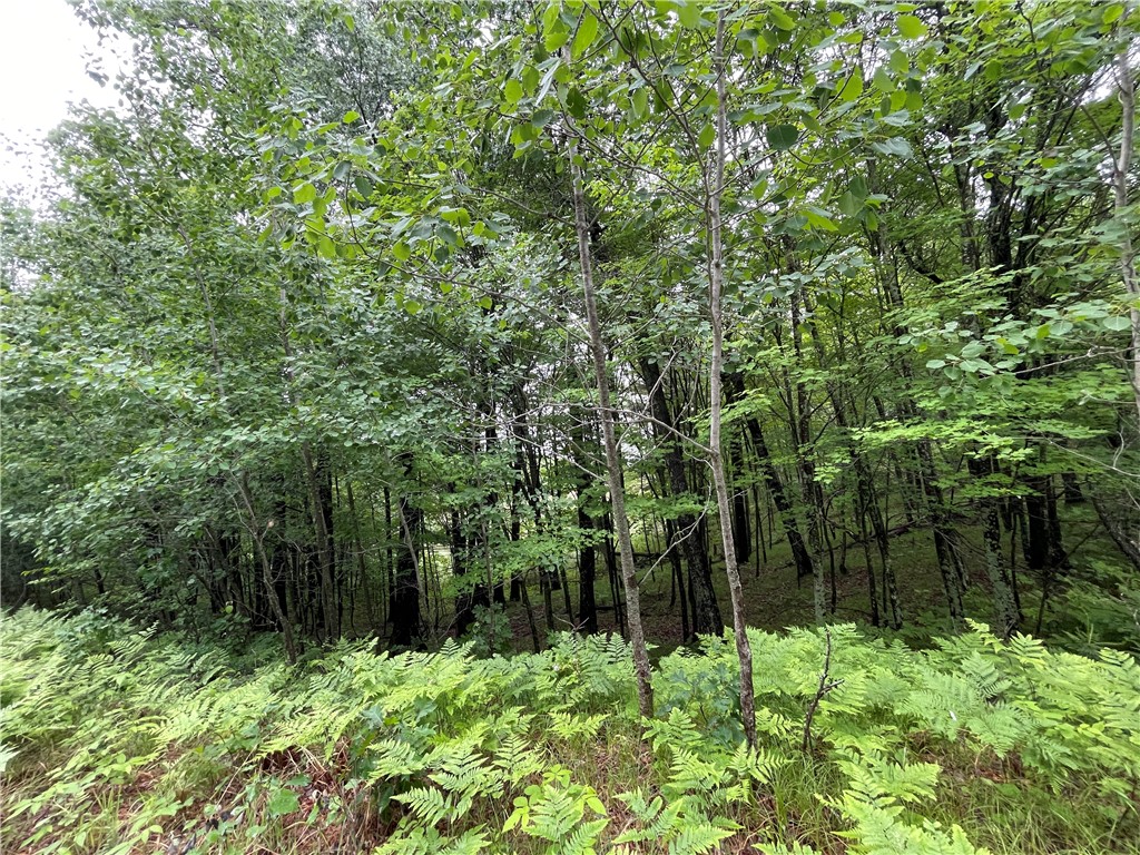 0 Loon Lake Road Spooner WI 54801 - Sunfish 1592683 image26