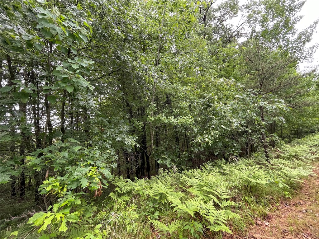 0 Loon Lake Road Spooner WI 54801 - Sunfish 1592683 image27