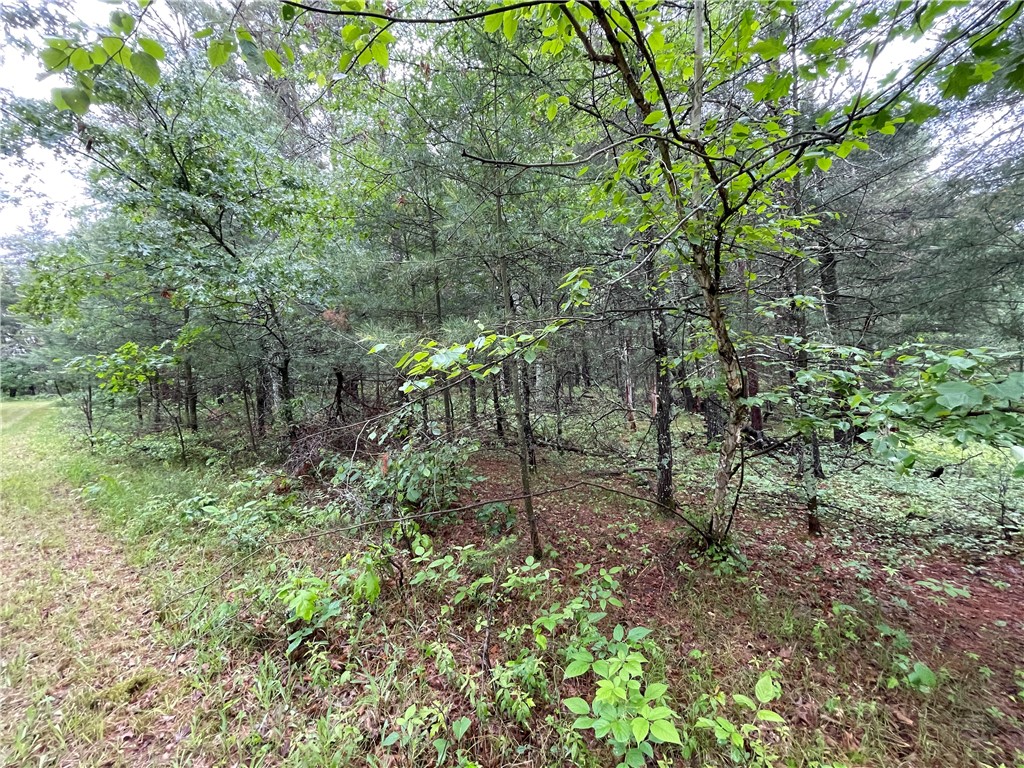 0 Loon Lake Road Spooner WI 54801 - Sunfish 1592683 image3