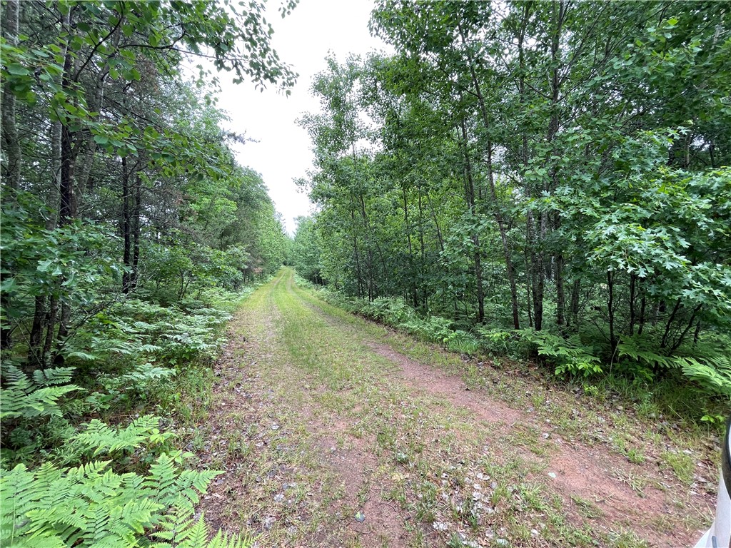 0 Loon Lake Road Spooner WI 54801 - Sunfish 1592683 image4