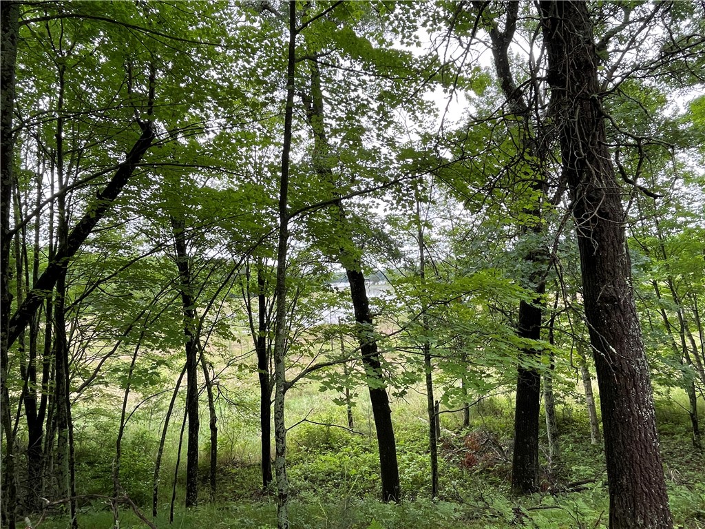 0 Loon Lake Road Spooner WI 54801 - Sunfish 1592683 image5