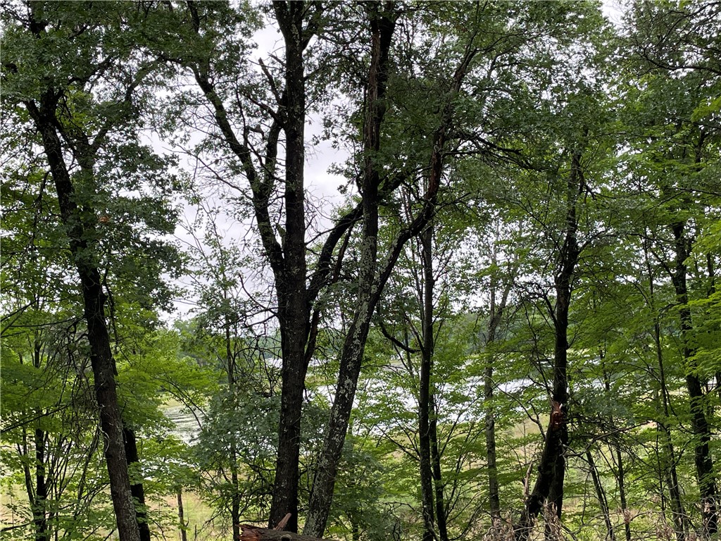 0 Loon Lake Road Spooner WI 54801 - Sunfish 1592683 image6