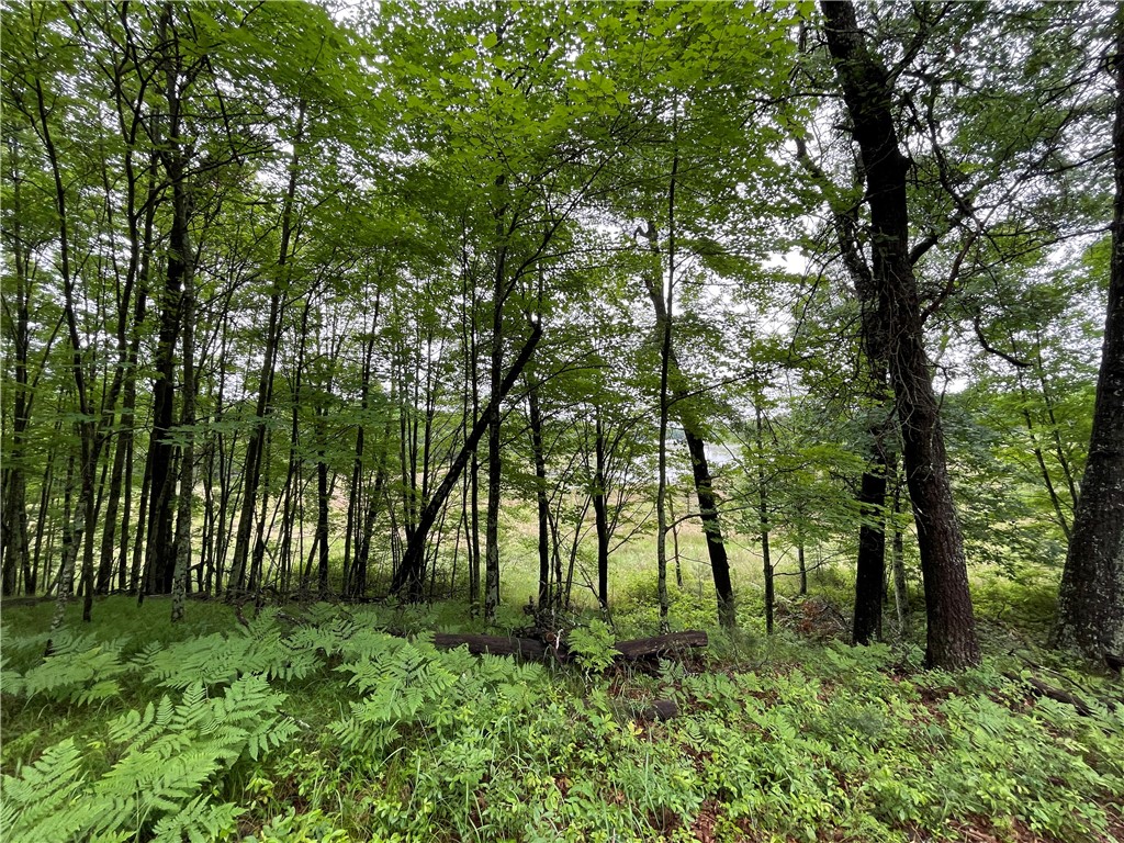 0 Loon Lake Road Spooner WI 54801 - Sunfish 1592683 image9