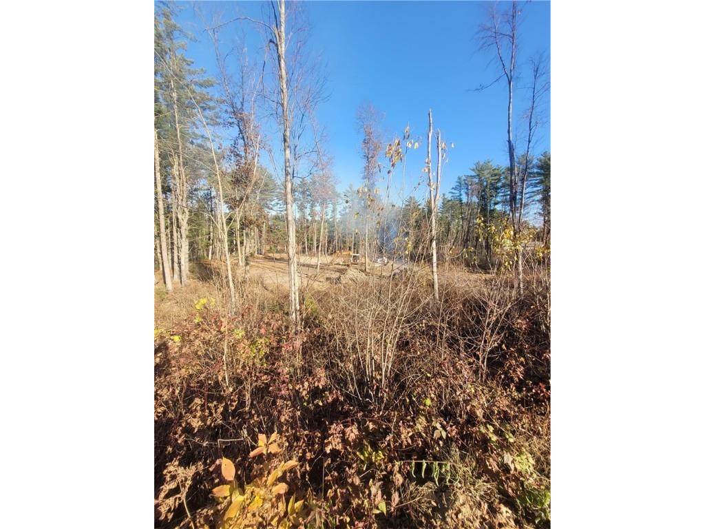 0 Lower Lake Dr Merrillan WI 54754 - Trow Lake 1597203 image12