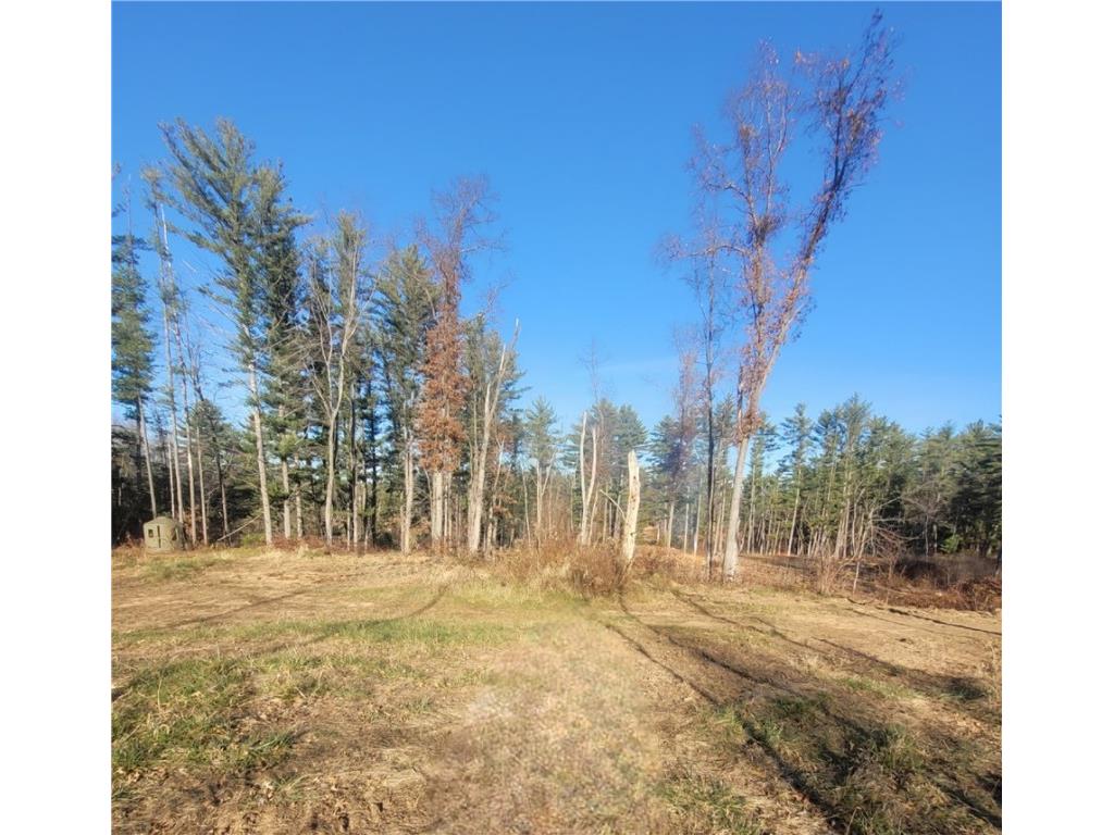 0 Lower Lake Dr Merrillan WI 54754 - Trow Lake 1597203 image14