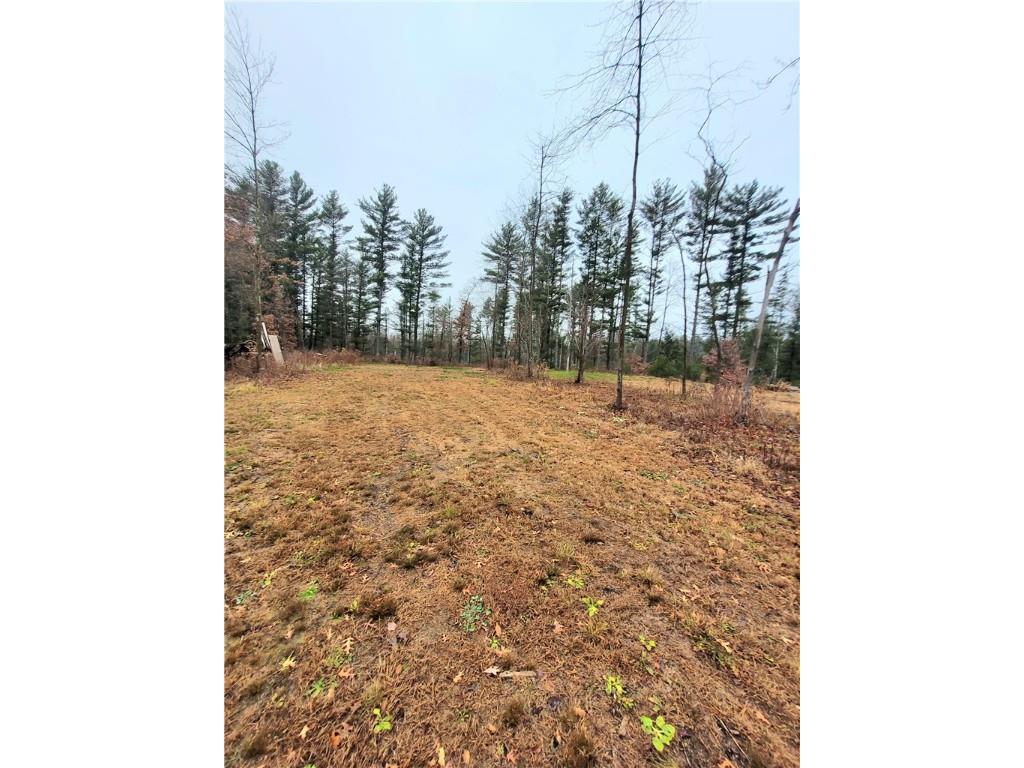 0 Lower Lake Dr Merrillan WI 54754 - Trow Lake 1597203 image15