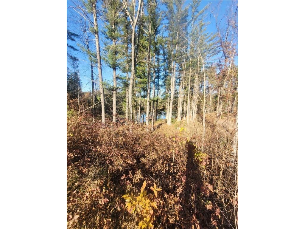 0 Lower Lake Dr Merrillan WI 54754 - Trow Lake 1597203 image16