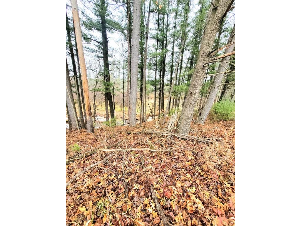 0 Lower Lake Dr Merrillan WI 54754 - Trow Lake 1597203 image17