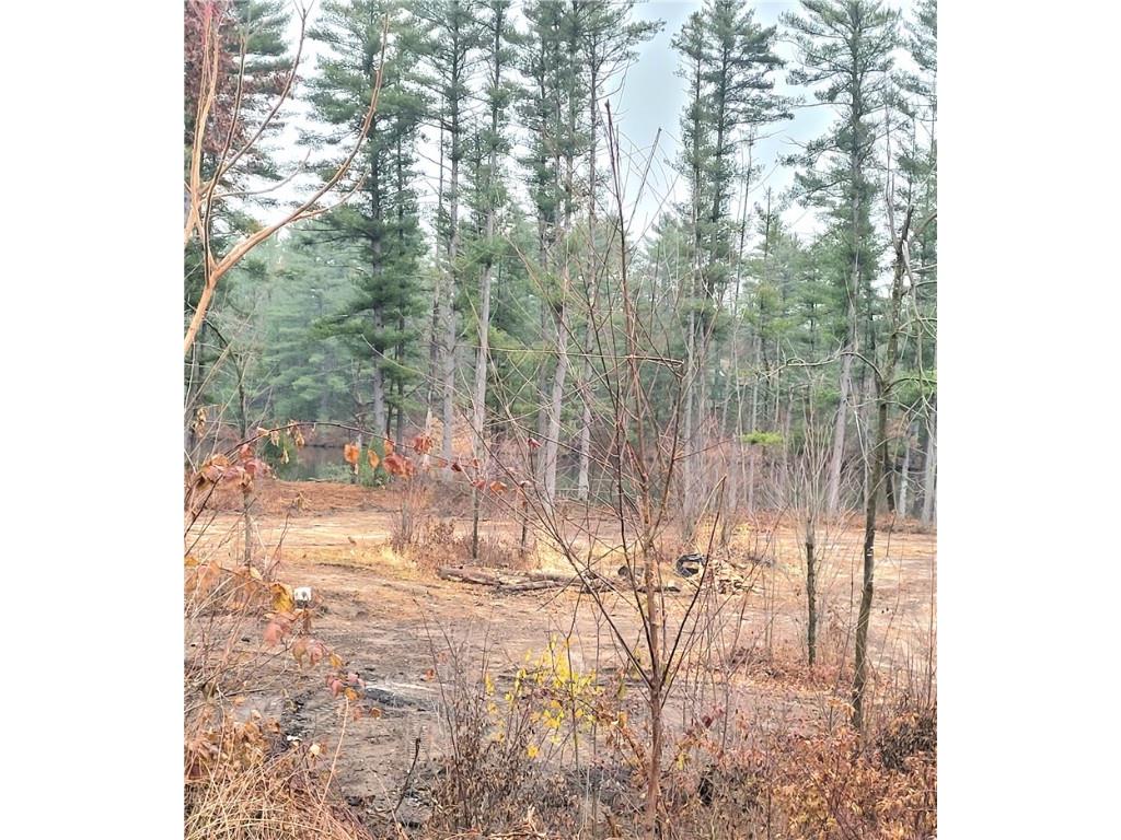 0 Lower Lake Dr Merrillan WI 54754 - Trow Lake 1597203 image18