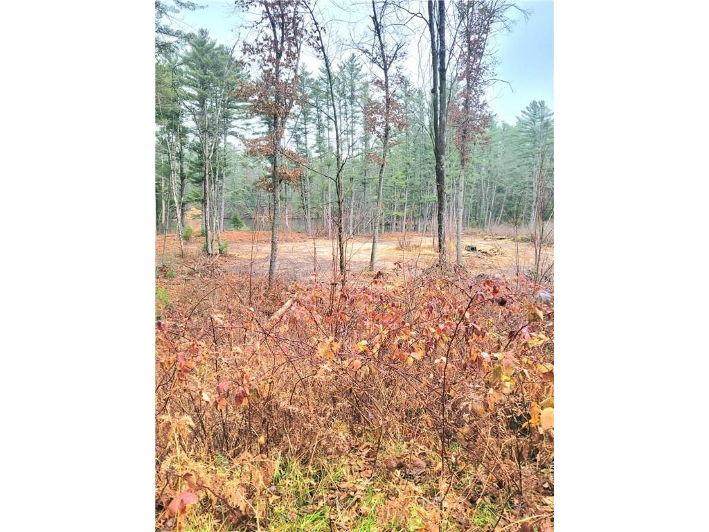 0 Lower Lake Dr Merrillan WI 54754 - Trow Lake 1597203 image19