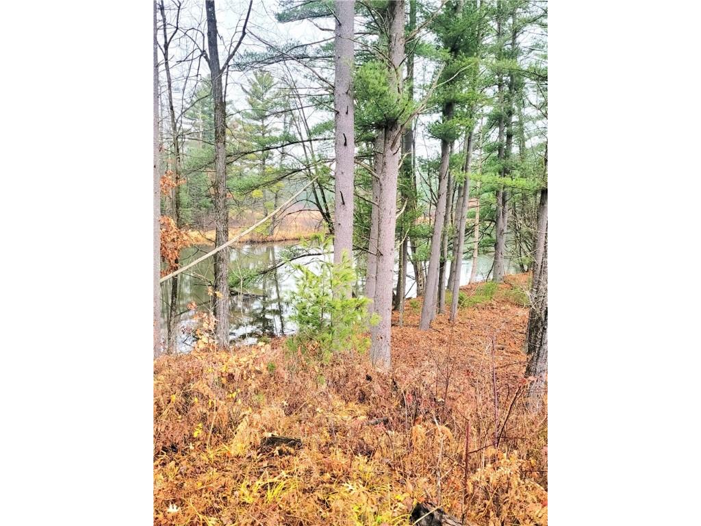 0 Lower Lake Dr Merrillan WI 54754 - Trow Lake 1597203 image21