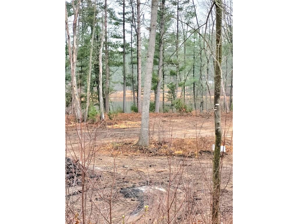 0 Lower Lake Dr Merrillan WI 54754 - Trow Lake 1597203 image22