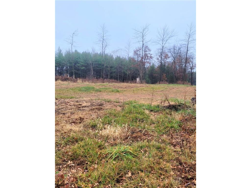 0 Lower Lake Dr Merrillan WI 54754 - Trow Lake 1597203 image23