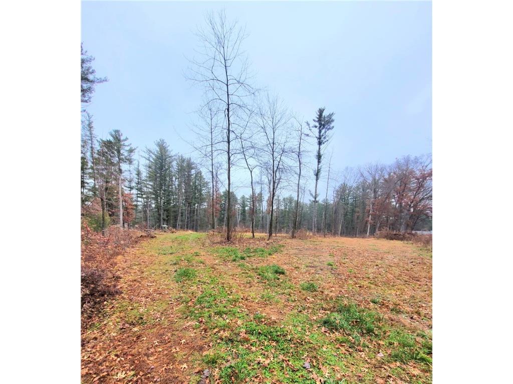 0 Lower Lake Dr Merrillan WI 54754 - Trow Lake 1597203 image24
