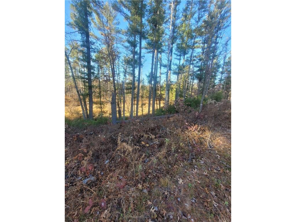 0 Lower Lake Dr Merrillan WI 54754 - Trow Lake 1597203 image25