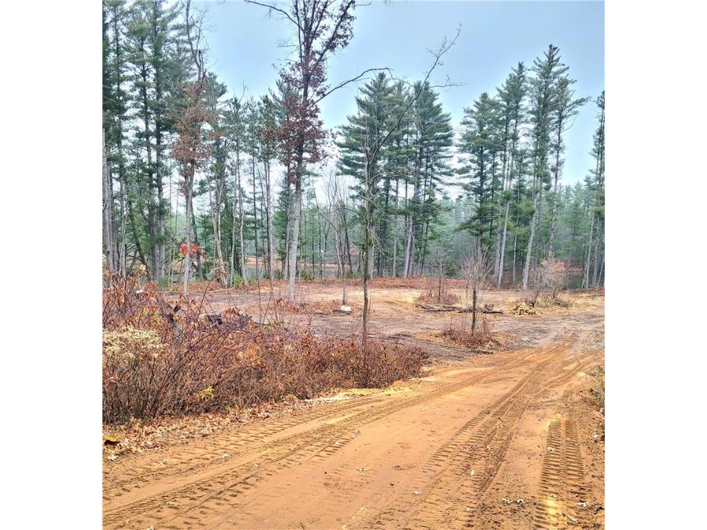 0 Lower Lake Dr Merrillan WI 54754 - Trow Lake 1597203 image31