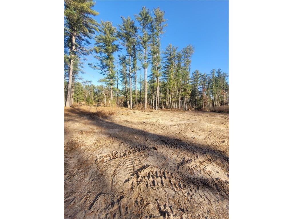 0 Lower Lake Dr Merrillan WI 54754 - Trow Lake 1597203 image33