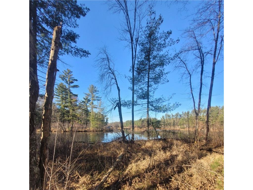 0 Lower Lake Dr Merrillan WI 54754 - Trow Lake 1597203 image34