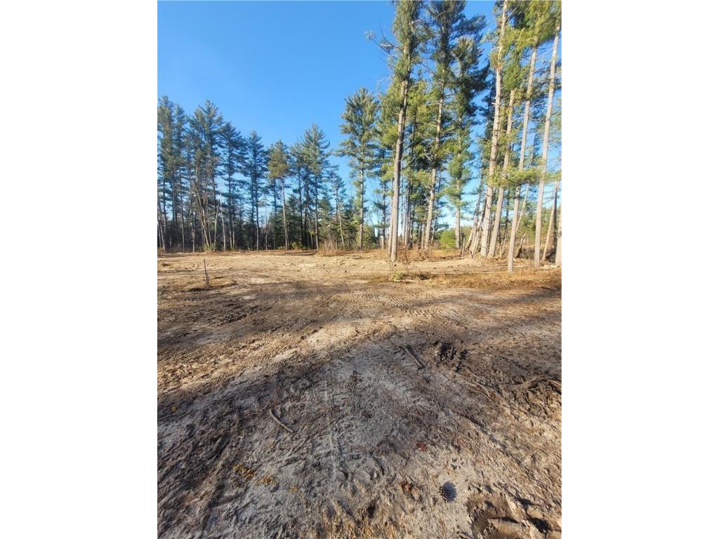 0 Lower Lake Dr Merrillan WI 54754 - Trow Lake 1597203 image35