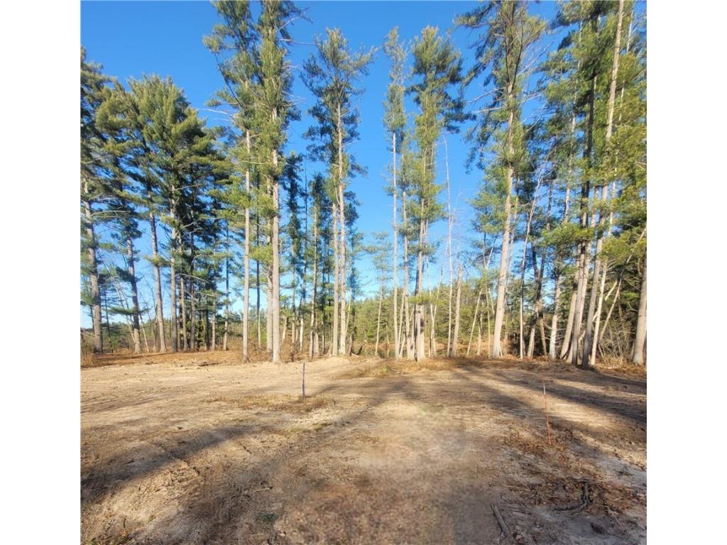 0 Lower Lake Dr Merrillan WI 54754 - Trow Lake 1597203 image36