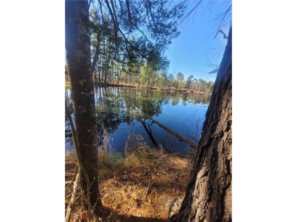 0 Lower Lake Dr Merrillan WI 54754 - Trow Lake 1597203 image38