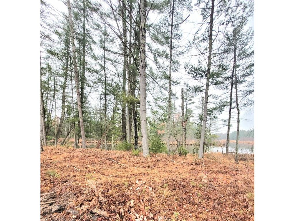 0 Lower Lake Dr Merrillan WI 54754 - Trow Lake 1597203 image39