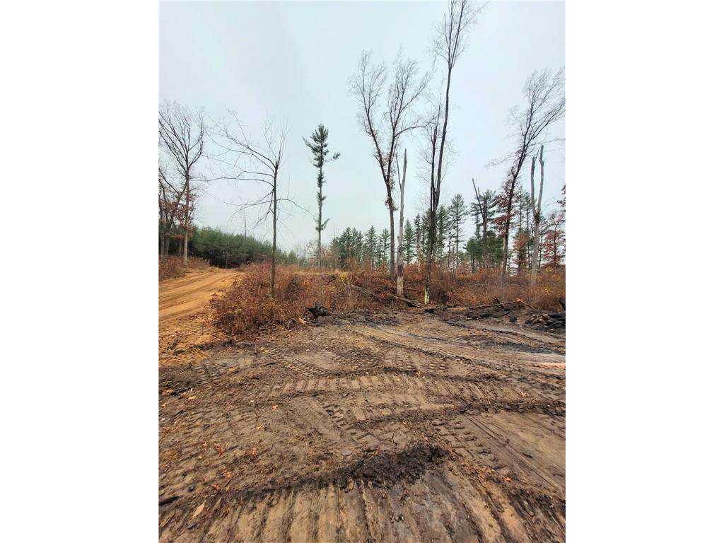 0 Lower Lake Dr Merrillan WI 54754 - Trow Lake 1597203 image41