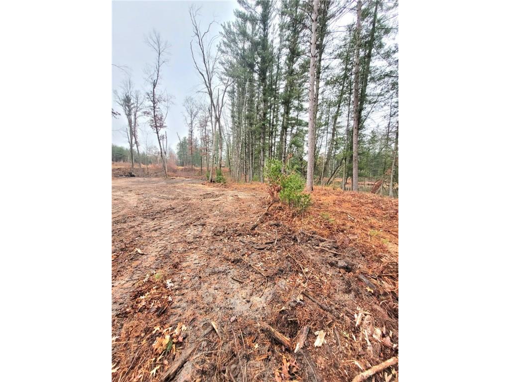 0 Lower Lake Dr Merrillan WI 54754 - Trow Lake 1597203 image43