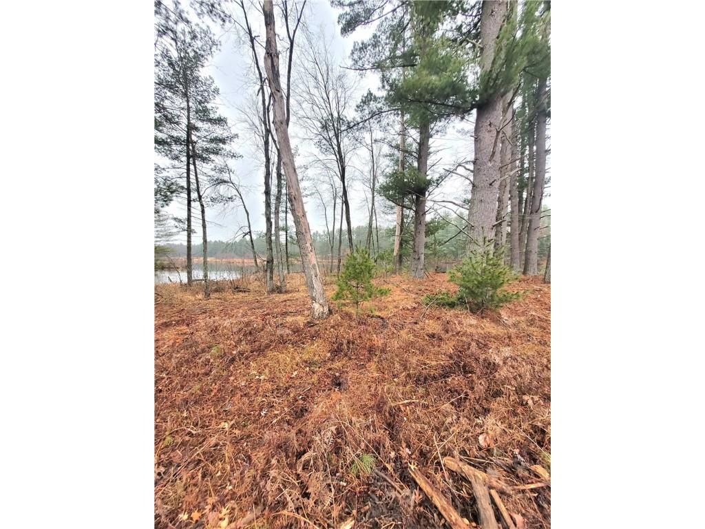 0 Lower Lake Dr Merrillan WI 54754 - Trow Lake 1597203 image45